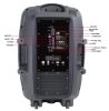 Naxa Portable 15" Bluetooth Party Speaker with Disco Lights